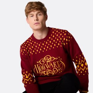 Harry Potter Hogwarts Julesweater Herre