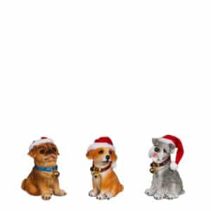 Hunde med hue og halsbånd - Grå hund