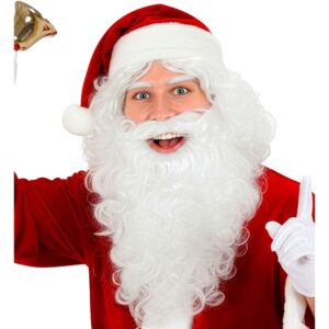 Kæmpe Julemandsskæg